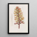 Stenorhynchus cinabre - Sydenham Edwards — quadro incorniciato alla parete