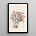 Crocus corse - Sydenham Edwards — quadro incorniciato alla parete