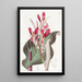 Canna à feuilles cramoisies - Sydenham Edwards — quadro incorniciato alla parete