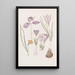 Crocus - Sydenham Edwards — quadro incorniciato alla parete