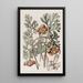Pivoine californienne di Douglas - Sydenham Edwards — quadro incorniciato alla parete