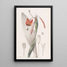 Tige raide couleur flamme - Sydenham Edwards — quadro incorniciato alla parete