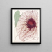 Aristoloche gigante - Sydenham Edwards — quadro incorniciato alla parete