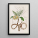 Edgeworthia dorée - Sydenham Edwards — quadro incorniciato alla parete