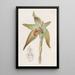 Lycaste à grandi fiori - Sydenham Edwards — quadro incorniciato alla parete
