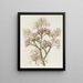 Lavanda di mare a grandi foglie - Sydenham Edwards — quadro incorniciato alla parete