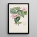 Ruellia à fleurs lilas - Sydenham Edwards — quadro incorniciato alla parete