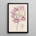 Laelia à longues tiges - Sydenham Edwards — quadro incorniciato alla parete