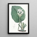 Eurycles di M. Cunningham - Sydenham Edwards — quadro incorniciato alla parete