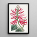 Érythrine à fleurs nues - Sydenham Edwards — quadro incorniciato alla parete