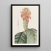 Aphelandra orange - Sydenham Edwards — quadro incorniciato alla parete