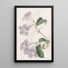 Bignonia peint - Sydenham Edwards — quadro incorniciato alla parete