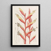 Vriesia à fleurs de perroquet - Sydenham Edwards — quadro incorniciato alla parete