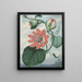 Fiore della passione - Sydenham Edwards — quadro incorniciato alla parete