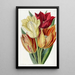 Tulipe à tige rugueuse - Sydenham Edwards — quadro incorniciato alla parete