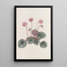 Cyclamen du rivage - Sydenham Edwards — quadro incorniciato alla parete