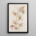 Cymbidium à lèvres courtes et feuilles épaisses - Sydenham Edwards — quadro incorniciato alla parete