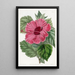 Hibiscus de Chine à fleur unique - Sydenham Edwards — quadro incorniciato alla parete