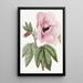Hibiscus splendide - Sydenham Edwards — quadro incorniciato alla parete