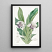 Zygopetalum à lèvres en cuillère - Sydenham Edwards — quadro incorniciato alla parete