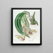 Coryanthes tacheté - Sydenham Edwards — quadro incorniciato alla parete