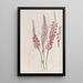 Polygonum à tige embrassante - Sydenham Edwards — quadro incorniciato alla parete
