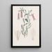Collania douce - Sydenham Edwards — quadro incorniciato alla parete