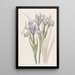 Iris doux - Sydenham Edwards — quadro incorniciato alla parete