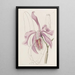 La Grande Cattleya - Sydenham Edwards — quadro incorniciato alla parete