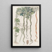 Le Concombre Serpent ou Fleur de Cheveux - Sydenham Edwards — quadro incorniciato alla parete
