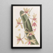 Le cymbidium à feuilles épaisses - Sydenham Edwards — quadro incorniciato alla parete