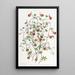 Le tropaeolum tricolore - Sydenham Edwards — quadro incorniciato alla parete