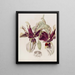 Stanhopea a Fiori Tigrati - Sydenham Edwards — quadro incorniciato alla parete