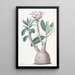 Pachypodium tubéreux - Sydenham Edwards — quadro incorniciato alla parete