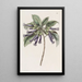 Iochrome tubulare - Sydenham Edwards — quadro incorniciato alla parete