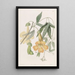 Bignonia de Tweedie - Sydenham Edwards — quadro incorniciato alla parete