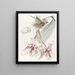 Von Martius Stanhopea Bicolore - Sydenham Edwards — quadro incorniciato alla parete
