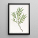 Dendrobium à deux tranchants - Sydenham Edwards — quadro incorniciato alla parete