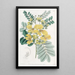 Cassia à deux fleurs - Sydenham Edwards — quadro incorniciato alla parete