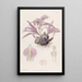 Caelogyne de Wallich - Sydenham Edwards — quadro incorniciato alla parete