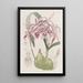 Épidendrum verruqueux - Sydenham Edwards — quadro incorniciato alla parete