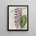 Usine WestIndian Cowitch - Sydenham Edwards — quadro incorniciato alla parete