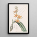 Yolkofegg Epidendrum - Sydenham Edwards — quadro incorniciato alla parete