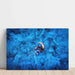 Symbiose Bluette | Decorazione fotografica