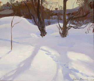 Paesaggio invernale - Teodor Ziomek — vista dell’opera