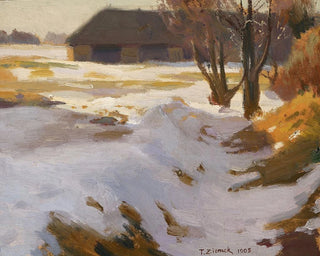 Dégel hivernal - Teodor Ziomek — vista dell’opera
