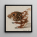 Tête d'un cuscus - Floris Verster — quadro incorniciato alla parete