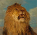 Tête de lion relevée - Rosa Bonheur — vista dell’opera
