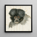 Tête de singe - Floris Verster — quadro incorniciato alla parete