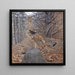 Tetra piume rosse maschio nella foresta - Gerald Thayer — quadro incorniciato alla parete